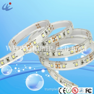 PU A Molding 12V Waterproof 3528 LED Strip String Light
